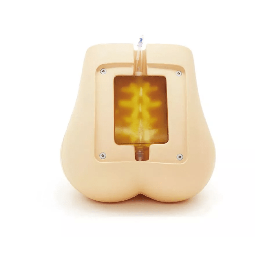 Ultraschallfähiger Lumbalpunktions - /Epiduralpunktions - Simulator - Erler - Zimmer